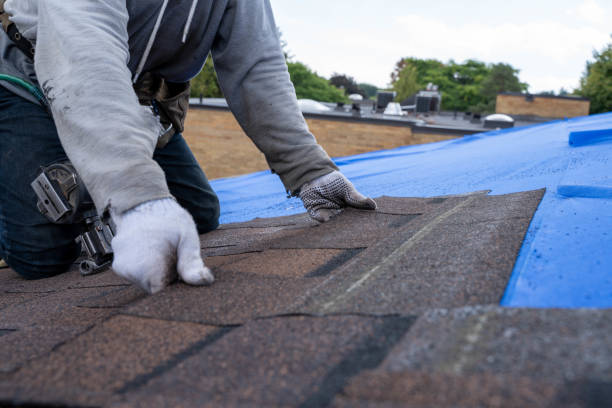 Best Commercial Roofing Services  in Franklin Farm, VA